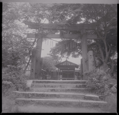 knd_46617(京都府相楽郡精華町下狛長芝２４)