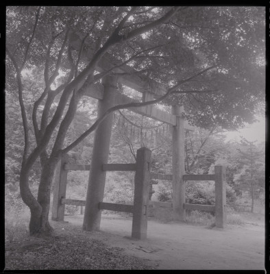 knd_46618(京都府相楽郡精華町下狛長芝２４)
