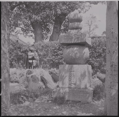 knd_46649(京都府京都市南区上鳥羽岩ノ本町９３)