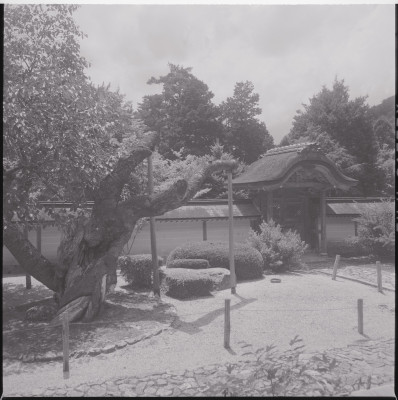 knd_46676(京都府京都市右京区京北井戸町丸山１４?６)