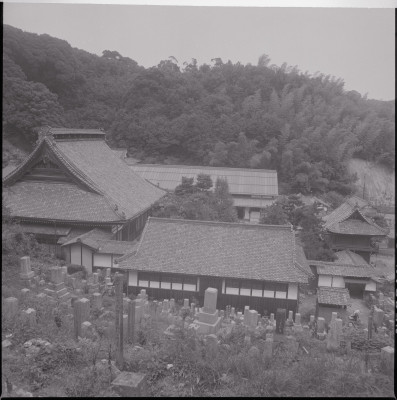 knd_46703(京都府宮津市京街道７６９)