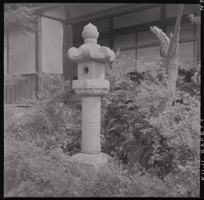 knd_46792(京都府京都市伏見区下鳥羽長田町１１３)