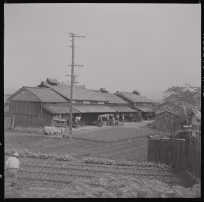 knd_46796(京都府京都市伏見区下鳥羽長田町１１３)