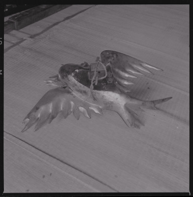 knd_47499(京都府京都市下京区船鉾町３９１)