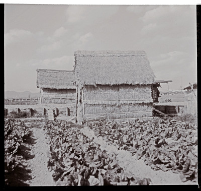 knd_50784(京都府向日市寺戸町七の坪)