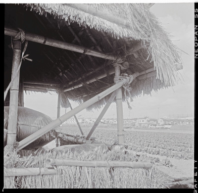 knd_50788(京都府向日市寺戸町七の坪)