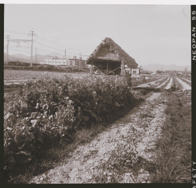 knd_50798(京都府向日市寺戸町七の坪)