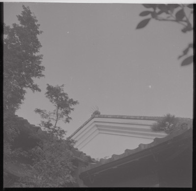 knd_51881(京都府京都市左京区松ケ崎御所ノ内町)