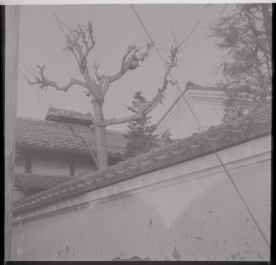 knd_51904(京都府京都市左京区松ケ崎御所ノ内町)