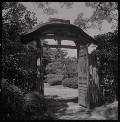 knd_51949(京都府京丹後市峰山町菅５７)