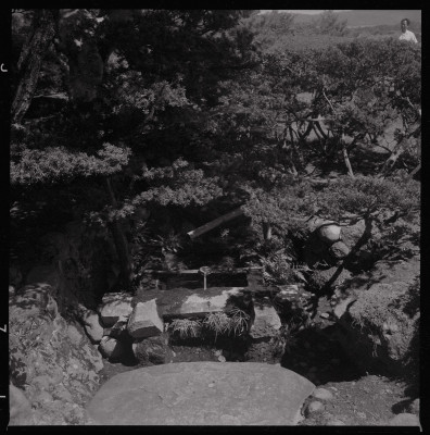 knd_51951(京都府京丹後市峰山町菅５７)