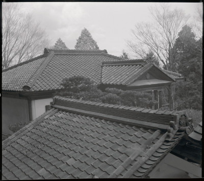 knd_55391()