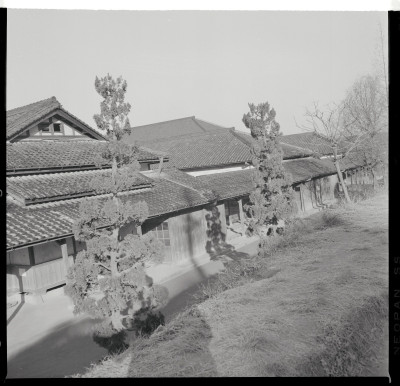 knd_55585()