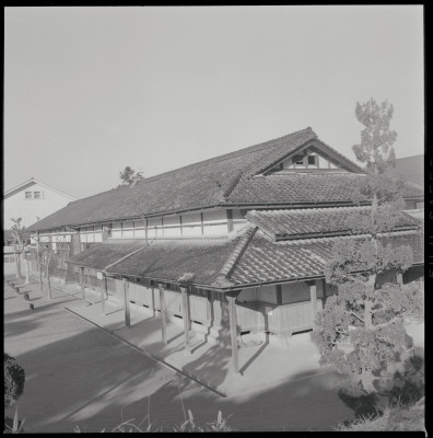 knd_55586()