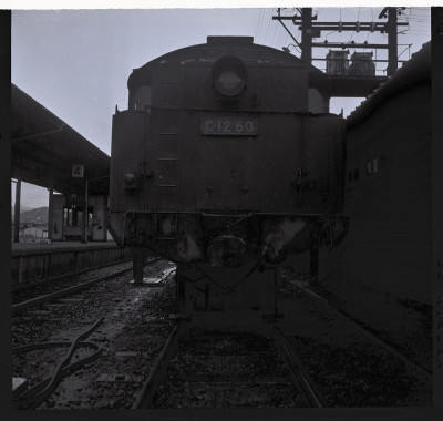 knd_58990(京都府舞鶴市伊佐津２１３－８)