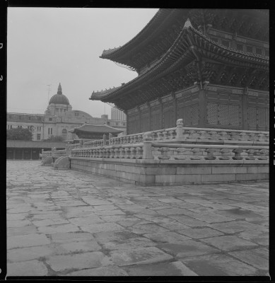 knd_59101()