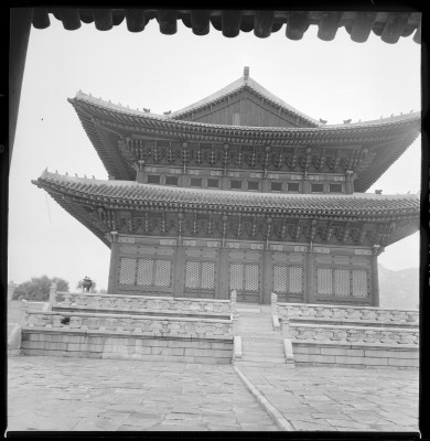knd_59114()
