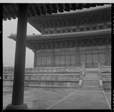 knd_59121()