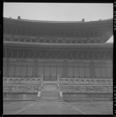 knd_59124()