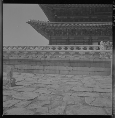 knd_59130()