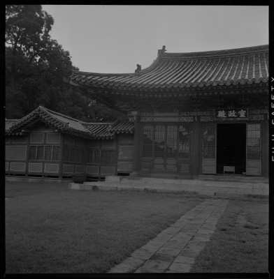 knd_59177()
