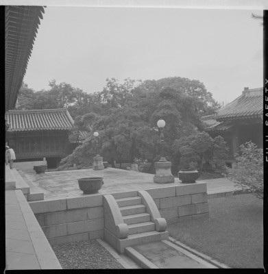 knd_59178()