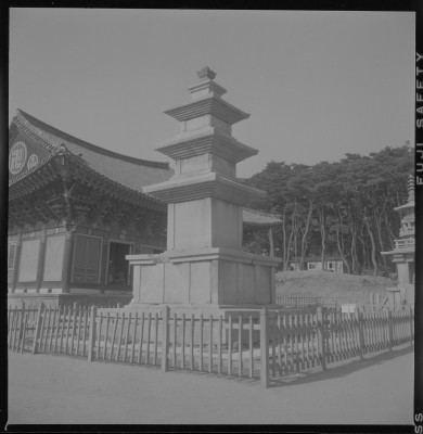 knd_59233()