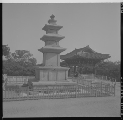 knd_59238()