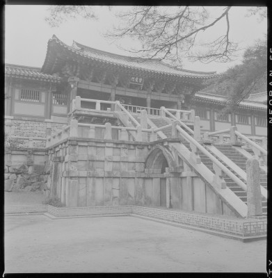 knd_59245()