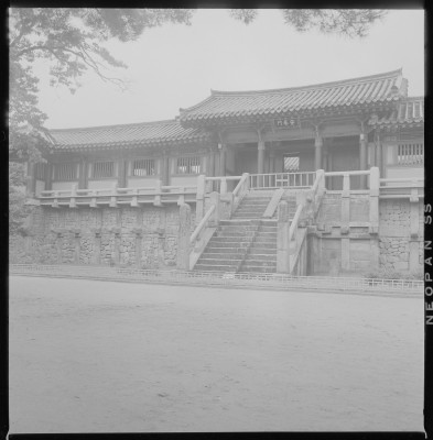 knd_59247()