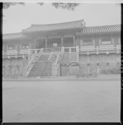 knd_59252()