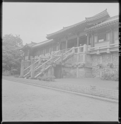 knd_59253()