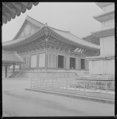 knd_59269()