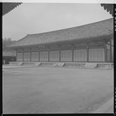 knd_59276()