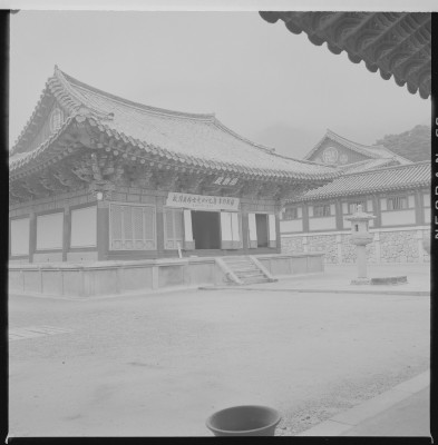 knd_59281()