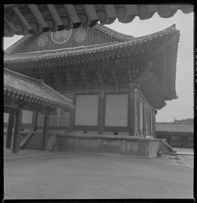 knd_59283()