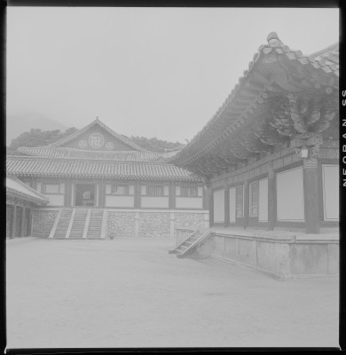 knd_59285()