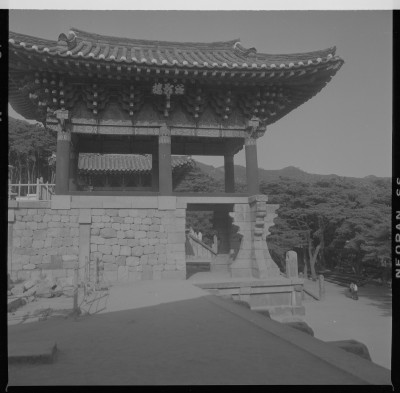 knd_59297()