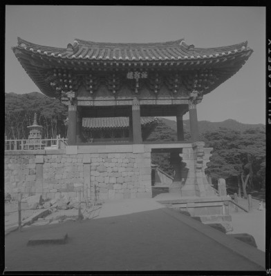 knd_59298()