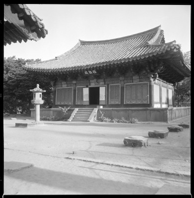 knd_59306()