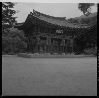 knd_59358()