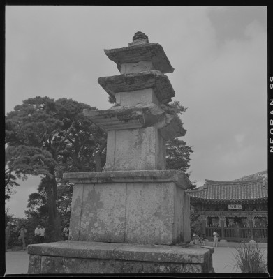 knd_59363()