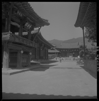 knd_59385()