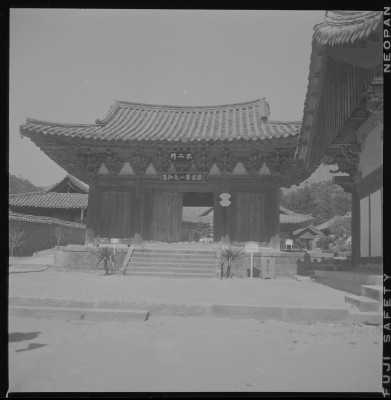 knd_59387()