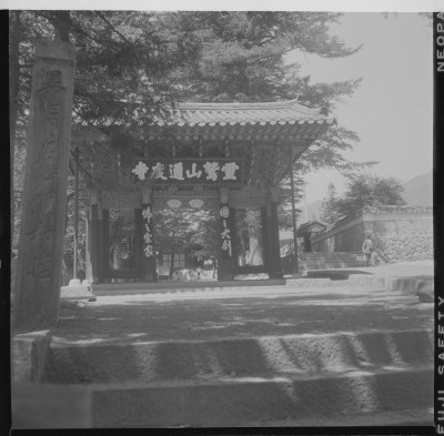knd_59392()