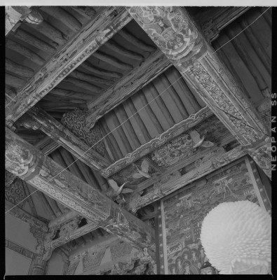 knd_59427()