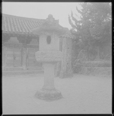 knd_59459()