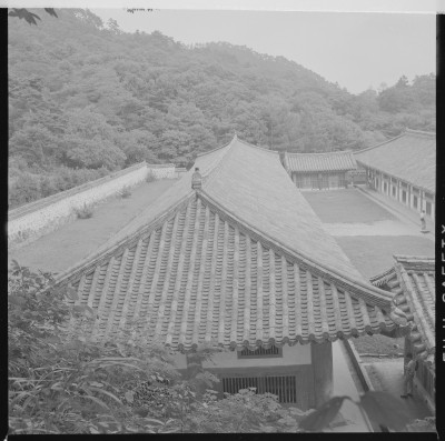 knd_59466()