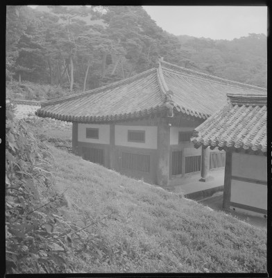 knd_59469()