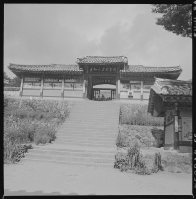 knd_59487()